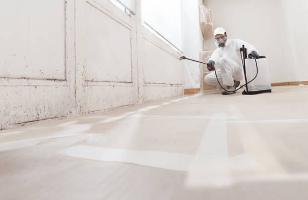 24/7 Emergency Mold Inspection experts in Richmond, KY