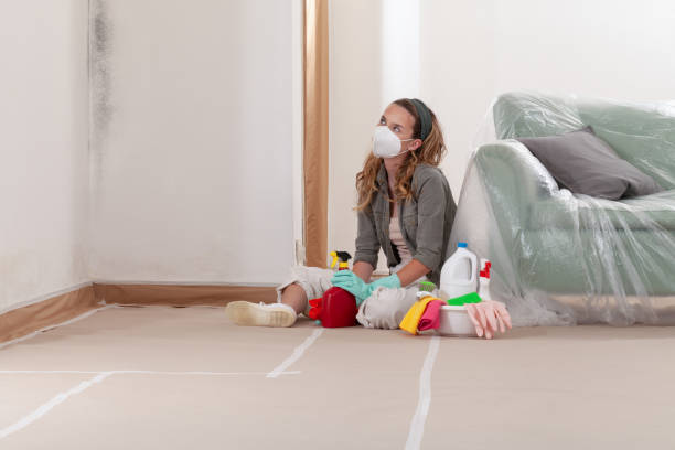 Reliable Mold Inspection contractor in Richmond, KY by WQB Mold Removal