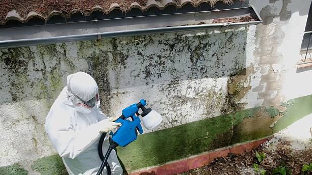 Top rated local Mold Inspection specialists in Richmond, KY